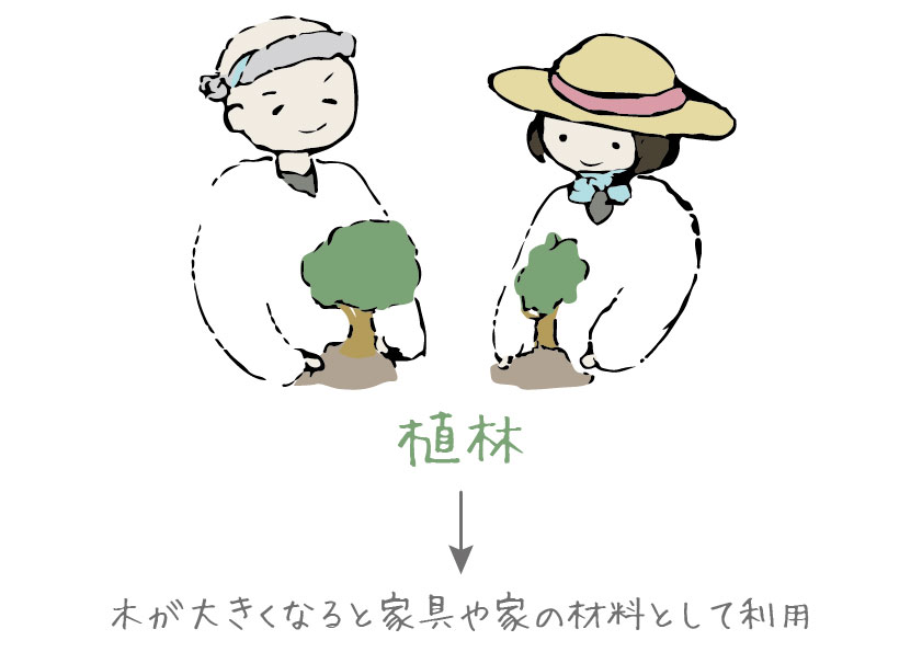 今の山は５０年前に植林された