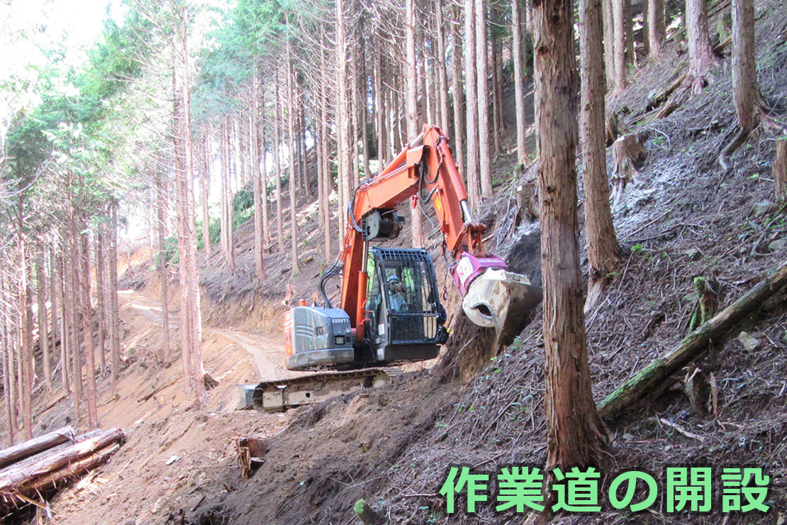 作業道の開設